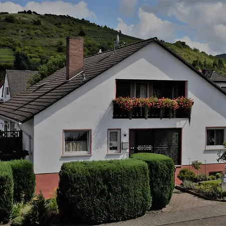 Ferienwohnung Euler Odernheim am Glan Exterior photo
